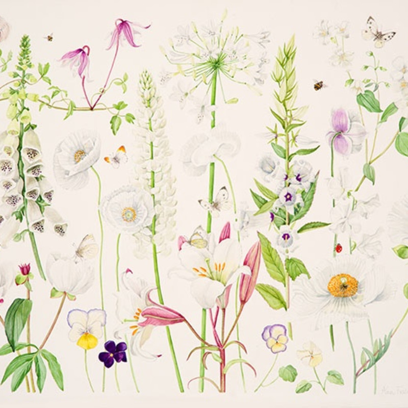 Ann Fraser: Art is the Flower - Life is the Green Leaf Petworth 7 - 18 May, London 21 - 23 May