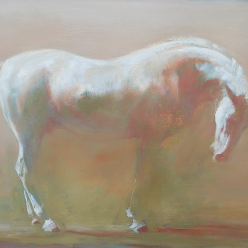 Summer Show 2019, Including Equine Petworth