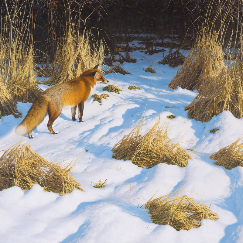 Chris Rose London 22 - 24 October, Petworth 26 October - 2 November