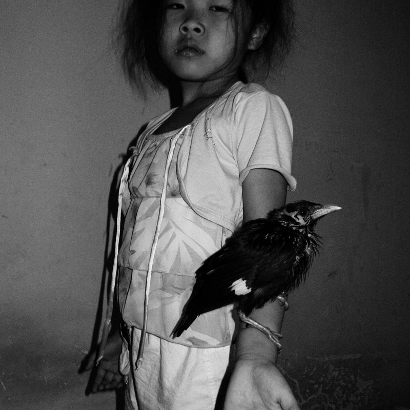 冯立《黑鸟、女孩》  Feng Li Blackbird, Girl  2007