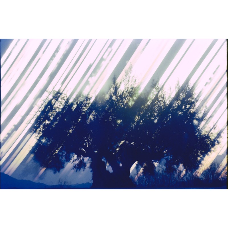 ©️北野谦