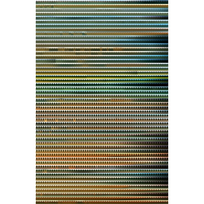 Field Oak, 52 Weeks × 60 Minutes