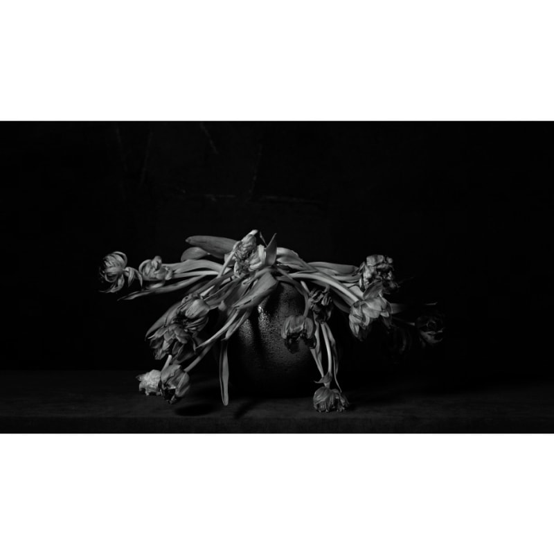 《生活——献给母亲》，定格影像，欧文·奥拉夫，2018 Life - For Mom, Stop-motion, Erwin Olaf, 2018