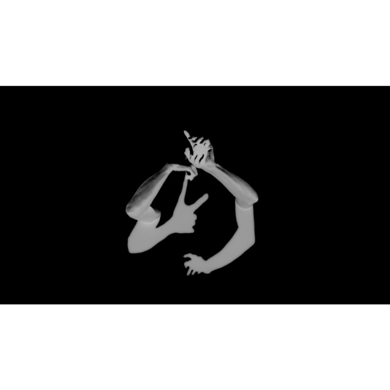 《急驰》, 带声音的单声道投影，3分钟，薇薇安·萨森，2014 Hurtling, Single channel projection with sound. Duration: 3 minutes, Viviane Sassen, 2014