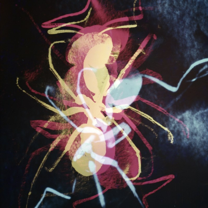 深濑昌久，选自“彩色·探究”系列，1962。© 深濑昌久档案馆