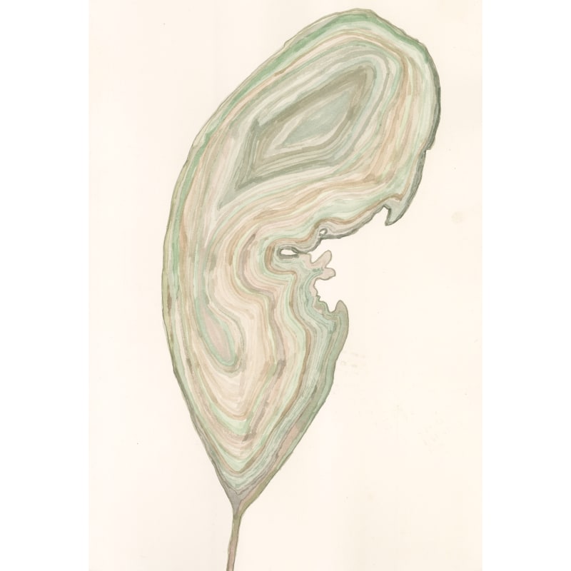 自然绘画，纸本水彩，53×38 cm，2024 ©吴禹墨 Nature Painting, Tercolor on Paper, 53×38 cm, 2024 ©Wu Yumo