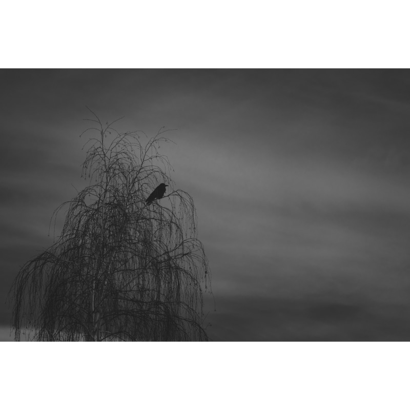 选自《如流水一样》系列 ©邹拥军 Selected from Like Running Water series ©Zou Yongjun