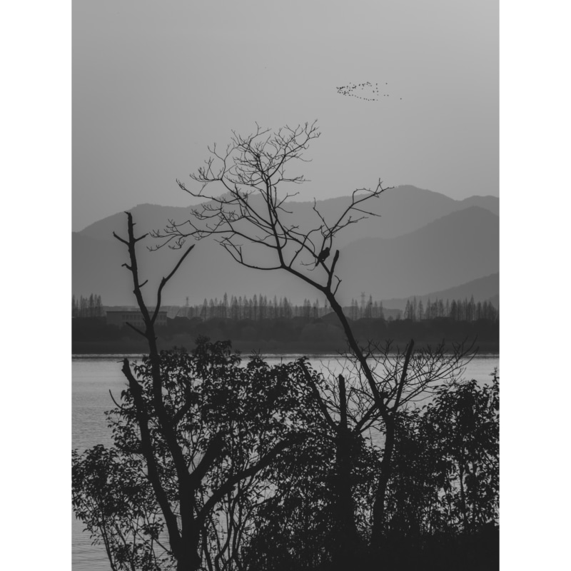 选自《如流水一样》系列 ©邹拥军 Selected from Like Running Water series ©Zou Yongjun