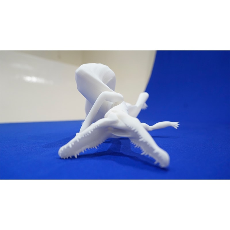 曹澍，窗外的鬼怪，文本，装置，3D数字模拟影像，粉末烧结3D打印，尺寸多变，2019 Cao Shu, Monster Outside the Windows, Text, Installation, 3D Digital Simulation Video, SLS 3D Printing, Dimensions variable, 2019