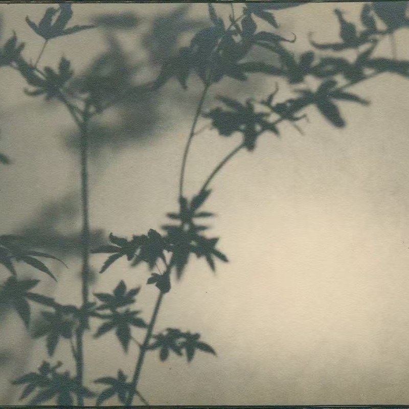骆伯年，《无题》，1930-1940年，明胶卤化银，40.7 x 27.3 厘米。图片鸣谢骆伯年艺术基金会和三影堂+3画廊 Luo Bonian, Untitled, 1930s-1940s. Gelatin Silver, 40.7 x 27.3 cm. Image courtesy of the Luo Bonian Art Foundation and Three Shadows+3 Gallery.