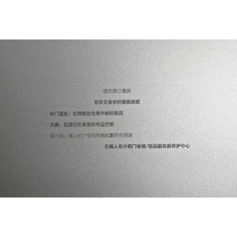 苏仲尧，《脑机接口谵妄》，2025，铝板喷砂 Su Zhongyao, Delirium of the Brain-Computer Interface, 2025, Sandblasted aluminum plate