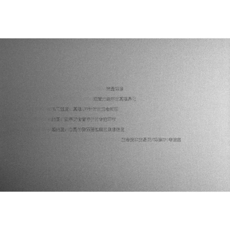 苏仲尧，《流量禅修》，2025，铝板喷砂 Su Zhongyao, Digital Mindfulness, 2025, Sandblasted aluminum plate