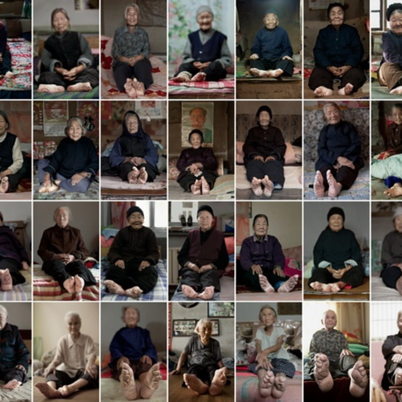 陈霄翾《百莲图》 Chen Xiaoxuan One Hundred Lotuses 2012