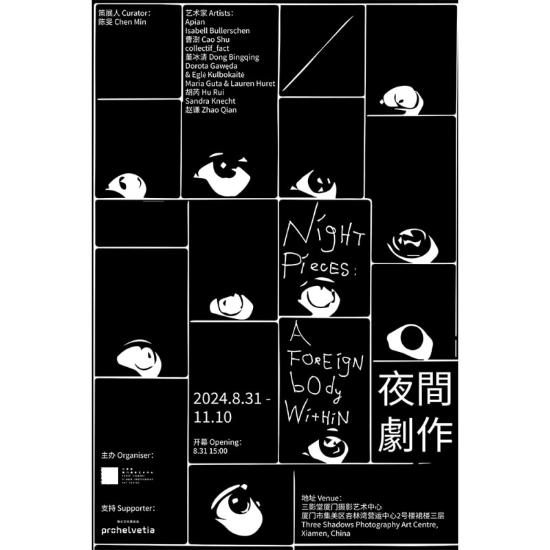 Night Pieces: A Foreign Body Within