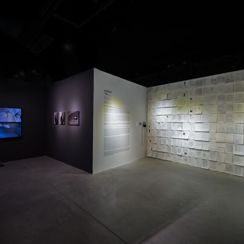 林以宁&杨佳馨夺得第四届集美·阿尔勒“影像策展人奖”