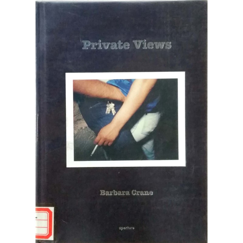 Private Views-Barbara Crane