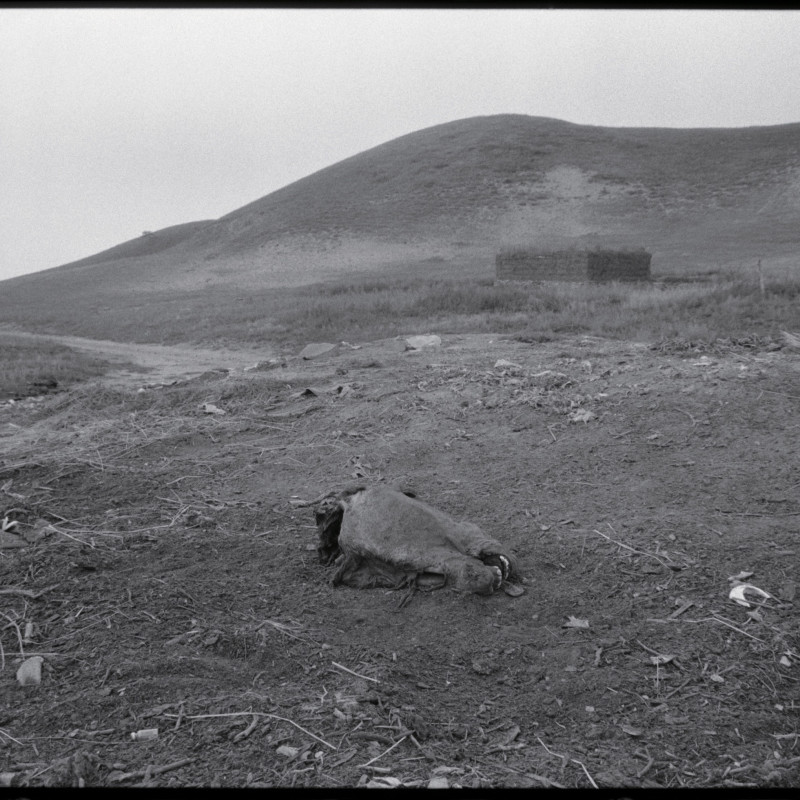 《马头，河北》 Horse Head, Hebei 1997