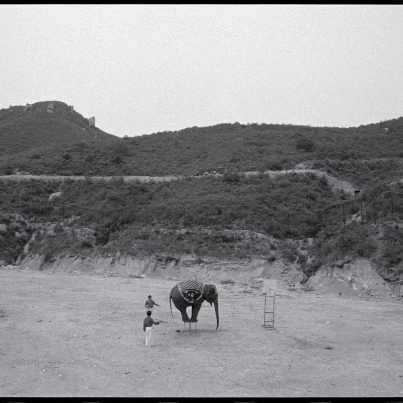 《象的杂技，北京》 Elephant Acrobat, Beijing 1998