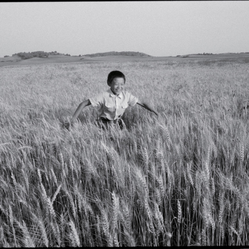 《麦田里的少年，河北》 Boy in the Wheat Fried, Hebei 1997