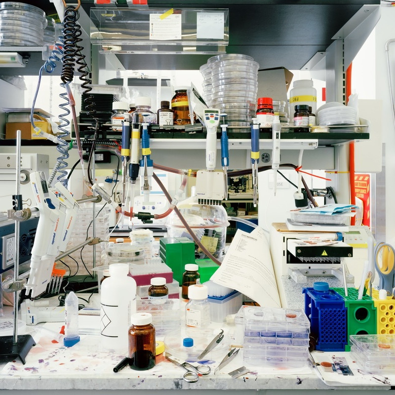 《实验室》系列 The Laboratory Series 2013