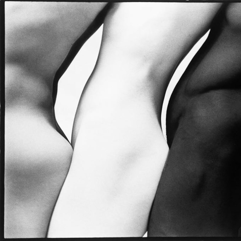 抱拥 #60 ｜ Embrace #60