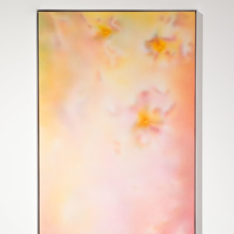 Damaris Athene, Latent_Space.003, 2024