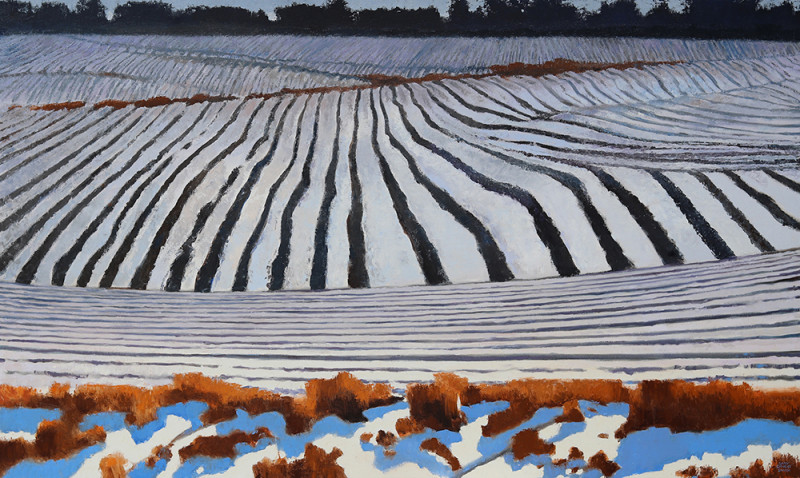 Gary Ernest Smith, Field in Snow