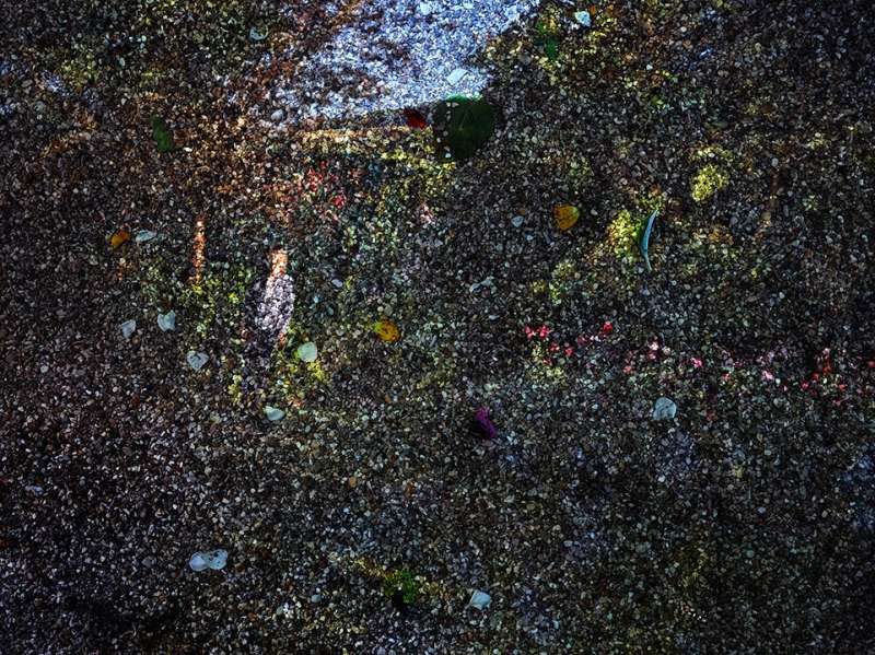 Tent-Camera Image on Ground: View of Monet's Gardens with Gardener, Giverny, France , 2015