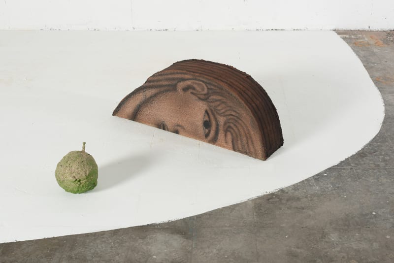 Vojtěch Kovařík face: plywood, sand, glue and acrylic apple: sand, iron face: 17 x 80 x 30 cm 6 3/4 x 31 1/2 x 11 3/4 in apple: 17 x 17 x 25 cm 6 3/4 x 6 3/4 x 9 7/8 in
