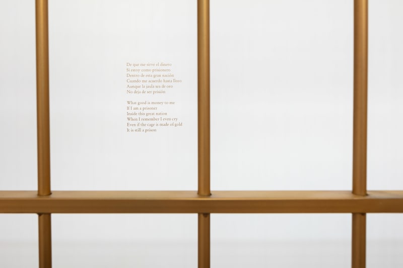 With Others in Mind, Coco Fusco