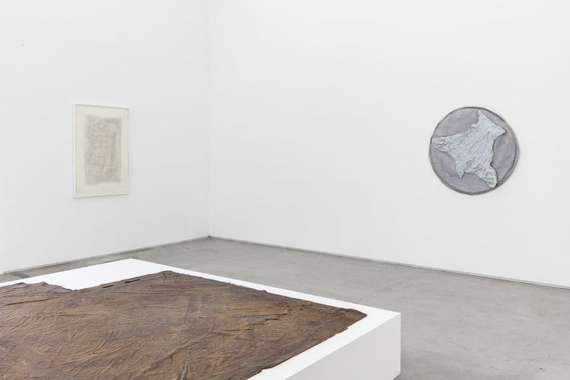 Memory as Architecture, Memory as Skin, Heidi Bucher