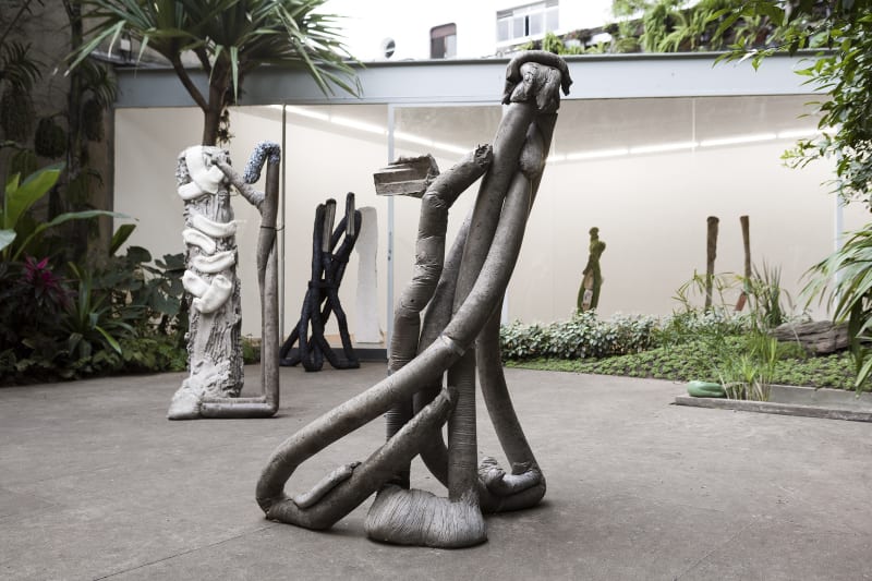 The Stamp of Anything or That part which never bears leaves or reproductive organs, ordinarily underneath and descending, Michael Dean