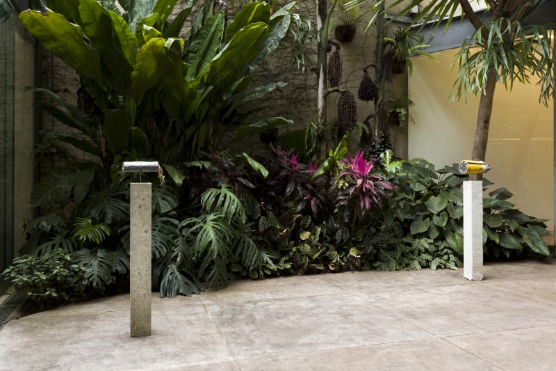 Polyethylene-Insulated Smear, Nina Canell