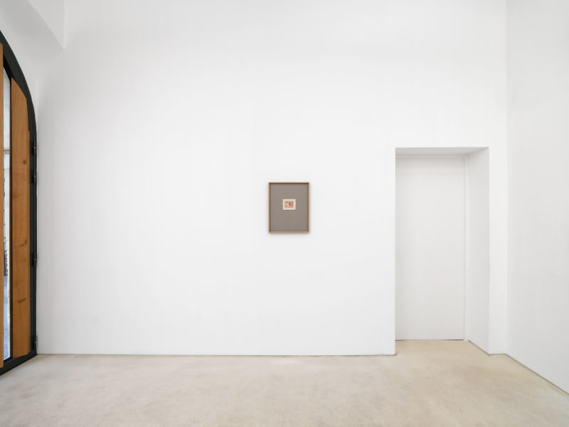 La rose de Paris, Heidi Bucher