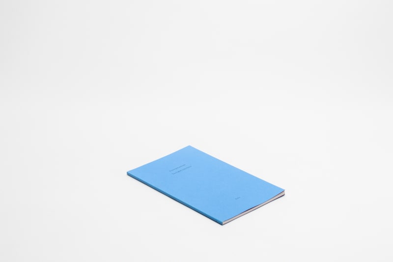 Resisting Exactitude, Iulia Nistor