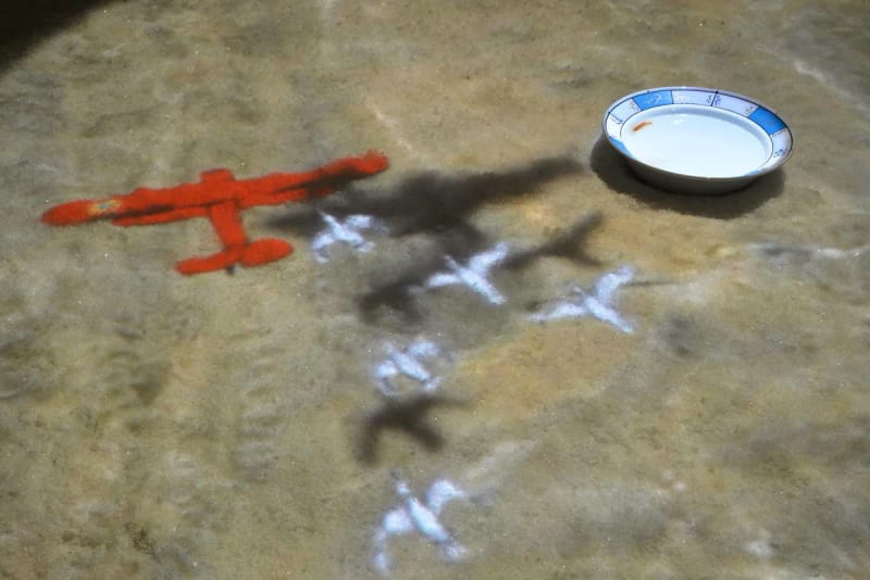 Avish Khebrehzadeh Where do we go from here?, 2011 Video animation projected on sea salt, water bowl, gold fish Variable dimensions https://youtu.be/bV-Kd1fi4s8