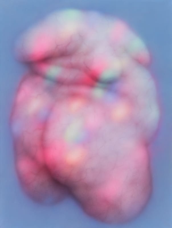 Magda Kirk, Venus 15, 2020