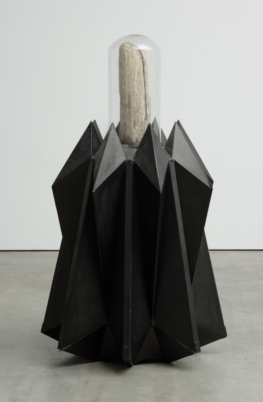 Tillman Kaiser, Walgehirn (whalebrain), 2009