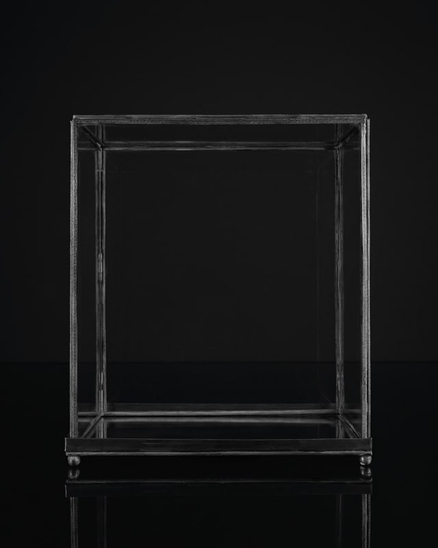 Sarah Jones Vitrine (III), 2023 C-print from B/W negative mounted on aluminum 23 5/8 x 18 7/8 inches (60 x 48 cm) Framed: 25 1/4 x 20 1/2 x 1 1/2 inches (64.2 x 52.2 x 3.8 cm) Edition of 5 plus 1 artist's proof