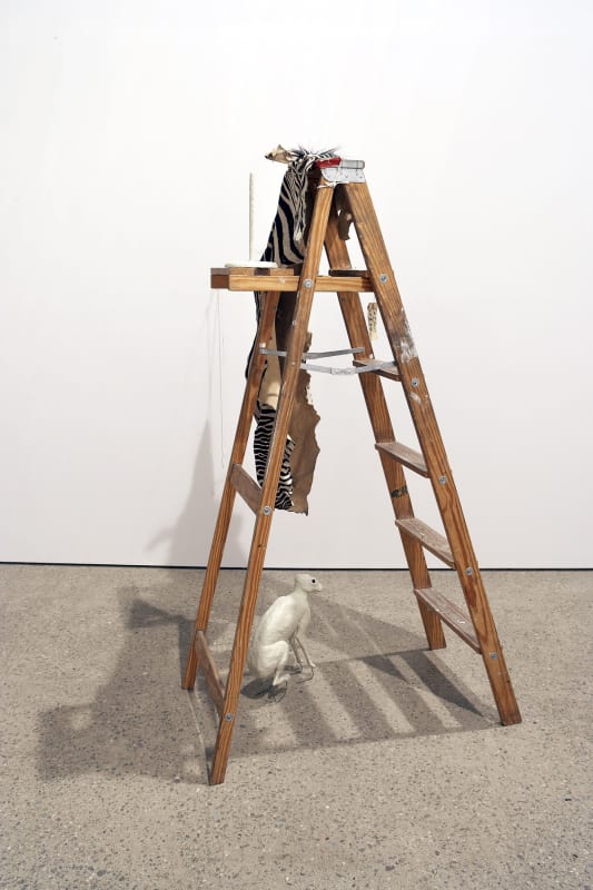 Michael Joo Untitled, 2005 Hand-built plastic, Zebra hide, and ladder 72 x 60 x 40 inches inches