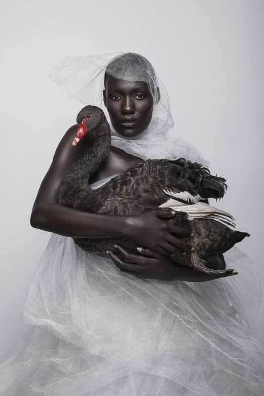 Justin Dingwall, NOSTOS II, 2019