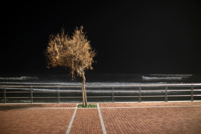 Tim Parchikov, Las Palmas [0682]_From the project Barriers of Vision, 2018