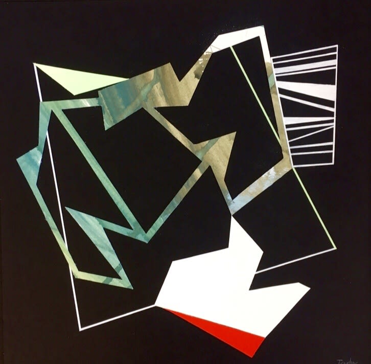 Lisa Traxler RWS, Safety Net 7