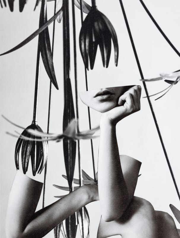 Miriam Tölke, Tulipan, 2019