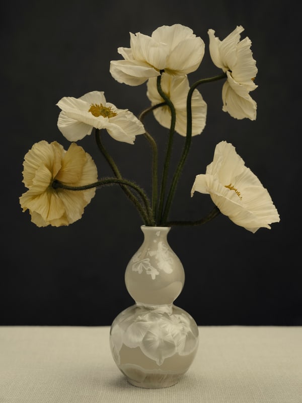 Ilona Langbroek Innocence II, 2025 Archival pigment print on Canson Platine 60 x 45 cm Edition of 7 plus 2 artist's proofs