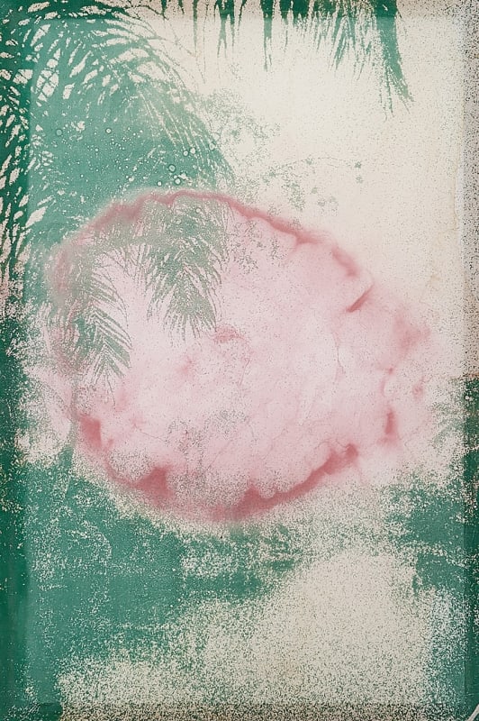 Douglas Mandry, Untitled (Palms II), from the series Les Archives de la Planète, 2025