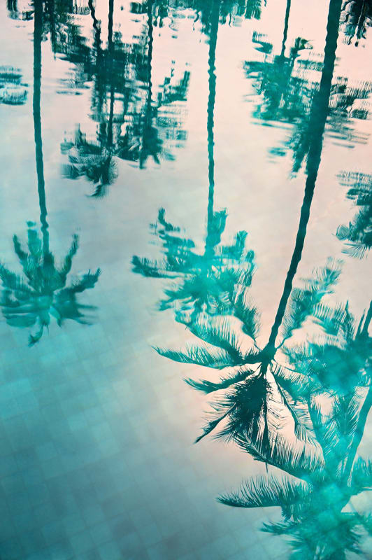 Philipp Keel Palms in a Pool, 2017 Imbue print on Baryta paper Sheet: 219.3 x 151 cm Picture: 204.3 x 136 cm Edition of 3 plus 2 artist's proofs