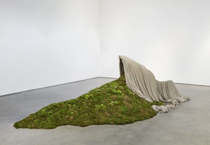 Thiago Rocha Pitta The Green Shelter, 2017 Rebar, fabric, concrete, soil, and moss 64 x 96 x 220 inches 162.6 x 243.8 x 558.8 cm