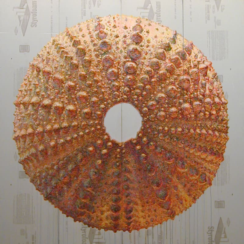 Charlie Callahan Luxury Sweetz, 2004 Acrylic on polystyrene foamboard 96 x 96 inches