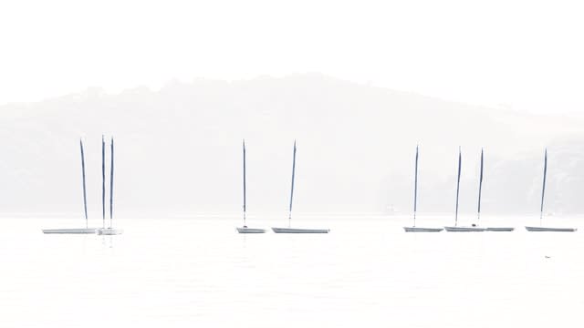 Konrad Bartelski, Picos, Salcombe Estuary